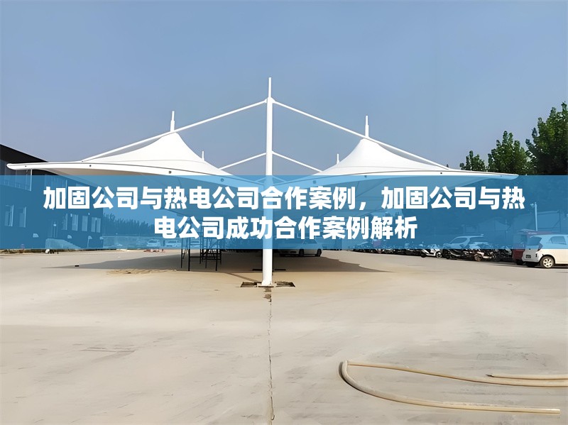 加固公司與熱電公司合作案例，加固公司與熱電公司成功合作案例解析 行業(yè)新聞 第1張