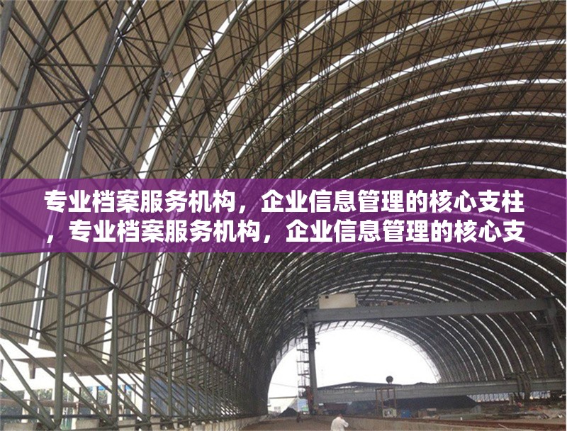專業(yè)檔案服務機構，企業(yè)信息管理的核心支柱，專業(yè)檔案服務機構，企業(yè)信息管理的核心支柱 行業(yè)新聞