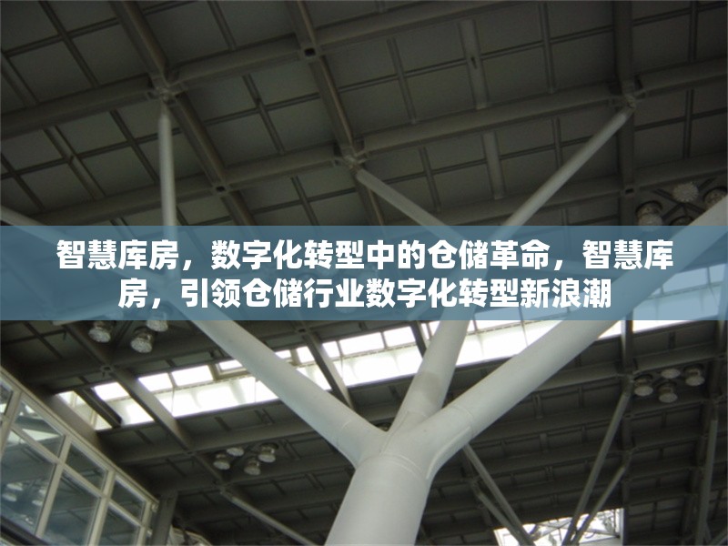 智慧庫(kù)房，數(shù)字化轉(zhuǎn)型中的倉(cāng)儲(chǔ)革命，智慧庫(kù)房，引領(lǐng)倉(cāng)儲(chǔ)行業(yè)數(shù)字化轉(zhuǎn)型新浪潮