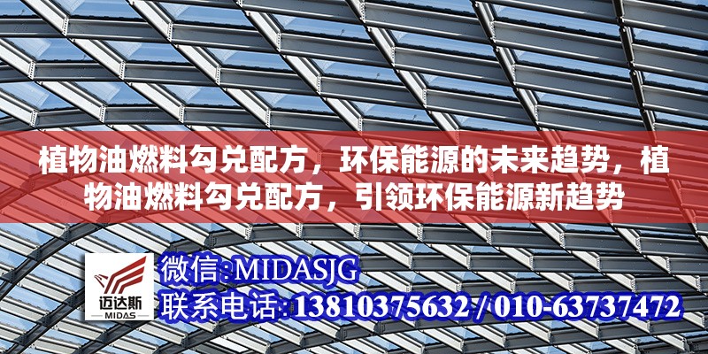植物油燃料勾兌配方，環(huán)保能源的未來趨勢，植物油燃料勾兌配方，引領環(huán)保能源新趨勢 行業(yè)新聞