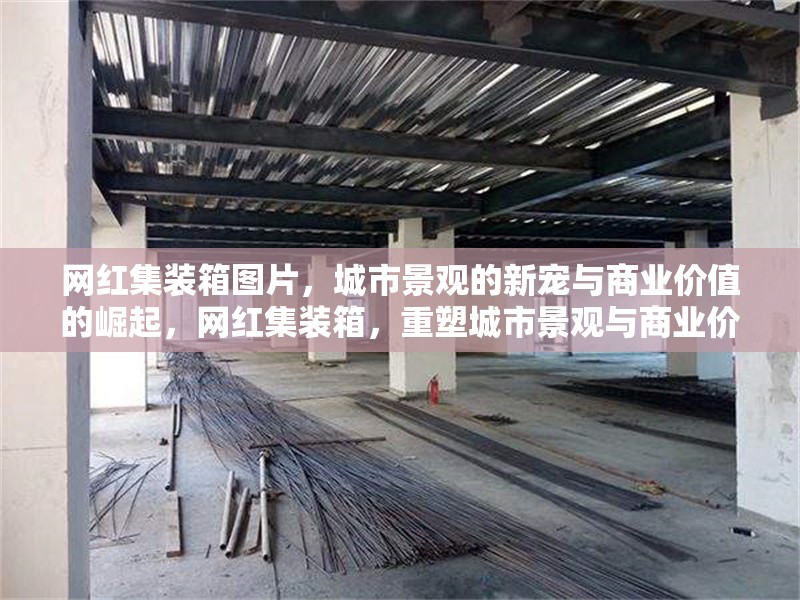 網(wǎng)紅集裝箱圖片，城市景觀的新寵與商業(yè)價(jià)值的崛起，網(wǎng)紅集裝箱，重塑城市景觀與商業(yè)價(jià)值的新潮流