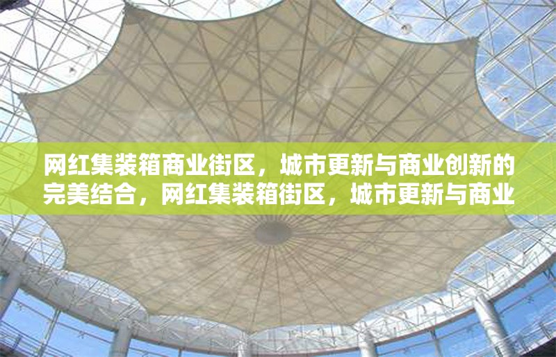 網(wǎng)紅集裝箱商業(yè)街區(qū)，城市更新與商業(yè)創(chuàng)新的完美結(jié)合，網(wǎng)紅集裝箱街區(qū)，城市更新與商業(yè)創(chuàng)新的融合典范