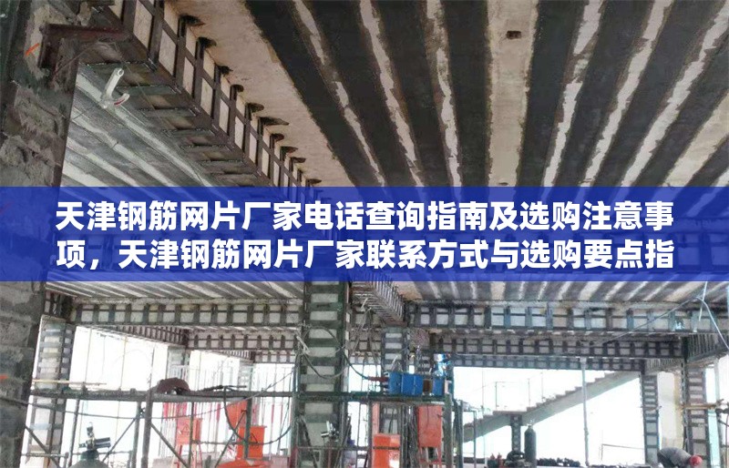天津鋼筋網(wǎng)片廠家電話查詢指南及選購注意事項，天津鋼筋網(wǎng)片廠家聯(lián)系方式與選購要點指南