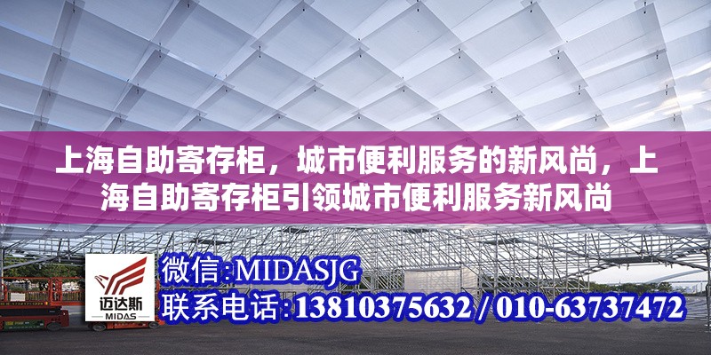 上海自助寄存柜，城市便利服務(wù)的新風(fēng)尚，上海自助寄存柜引領(lǐng)城市便利服務(wù)新風(fēng)尚 行業(yè)新聞