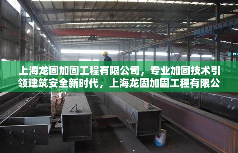 上海龍固加固工程有限公司，專業(yè)加固技術(shù)引領(lǐng)建筑安全新時代，上海龍固加固工程有限公司，專業(yè)加固技術(shù)引領(lǐng)建筑安全新時代