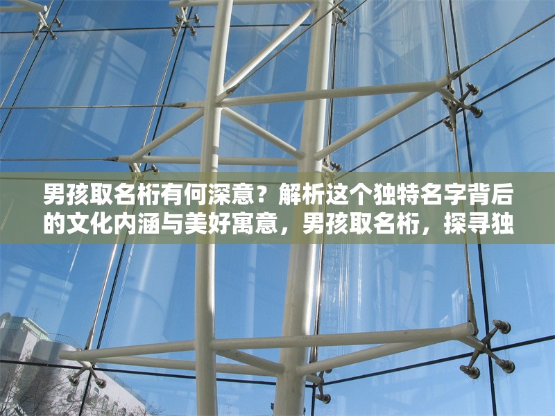 男孩取名桁有何深意？解析這個(gè)獨(dú)特名字背后的文化內(nèi)涵與美好寓意，男孩取名桁，探尋獨(dú)特名字背后的文化內(nèi)涵與美好寓意