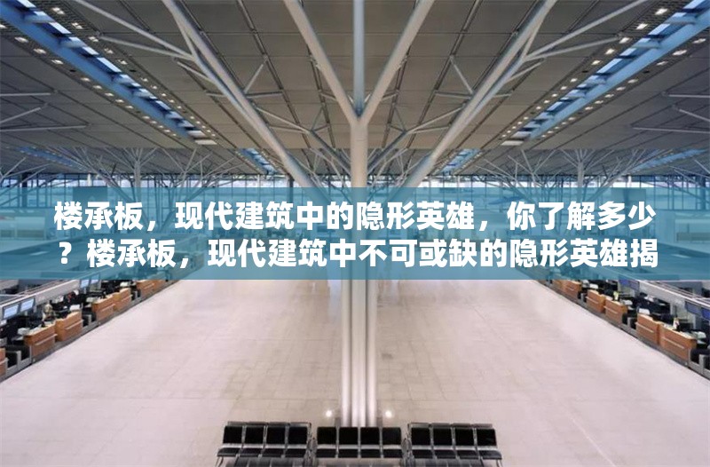 樓承板，現(xiàn)代建筑中的隱形英雄，你了解多少？樓承板，現(xiàn)代建筑中不可或缺的隱形英雄揭秘 行業(yè)新聞