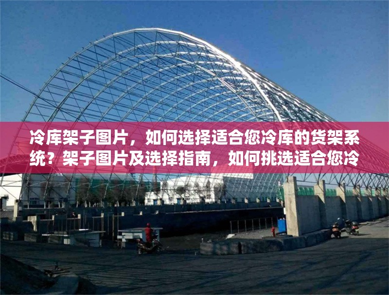 冷庫架子圖片，如何選擇適合您冷庫的貨架系統(tǒng)？架子圖片及選擇指南，如何挑選適合您冷庫的貨架系統(tǒng)
