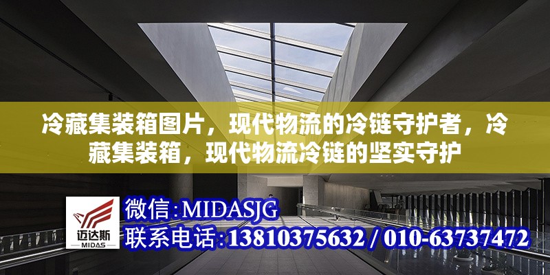 冷藏集裝箱圖片，現(xiàn)代物流的冷鏈?zhǔn)刈o(hù)者，冷藏集裝箱，現(xiàn)代物流冷鏈的堅實守護(hù)