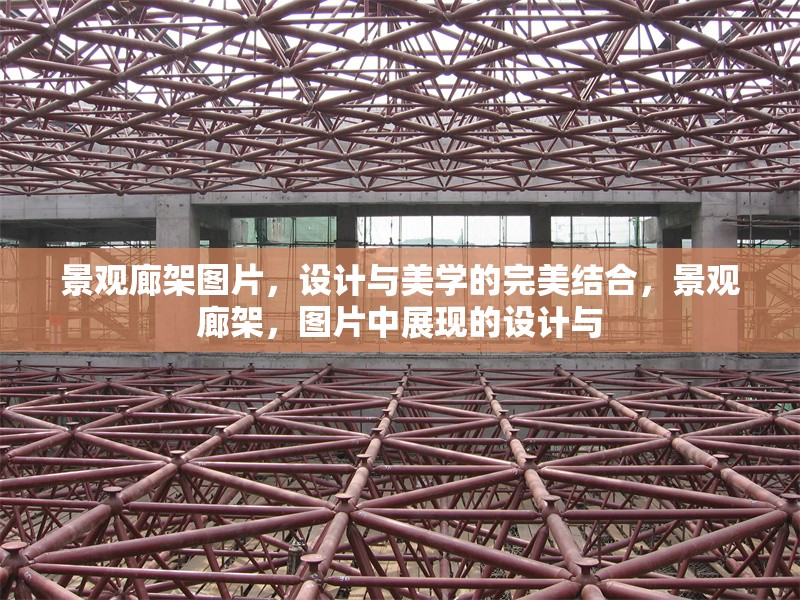 景觀廊架圖片，設(shè)計(jì)與美學(xué)的完美結(jié)合，景觀廊架，圖片中展現(xiàn)的設(shè)計(jì)與