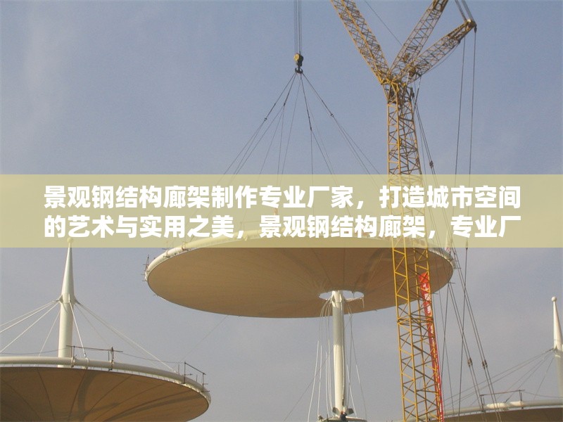 景觀鋼結(jié)構(gòu)廊架制作專業(yè)廠家，打造城市空間的藝術(shù)與實(shí)用之美，景觀鋼結(jié)構(gòu)廊架，專業(yè)廠家鑄就城市藝術(shù)實(shí)用之美