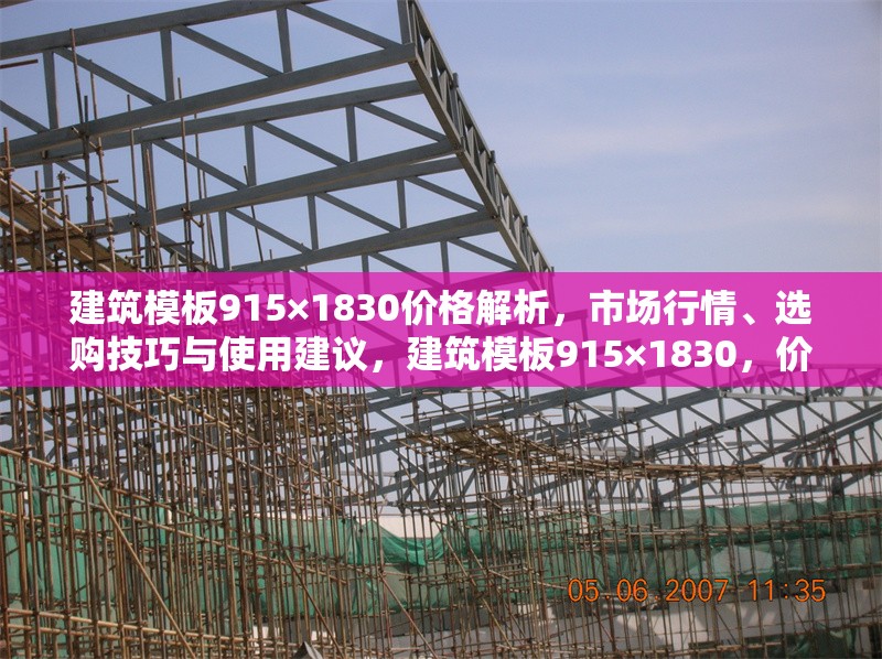 建筑模板915×1830價(jià)格解析，市場(chǎng)行情、選購(gòu)技巧與使用建議，建筑模板915×1830，價(jià)格、行情、選購(gòu)及使用全攻略 行業(yè)新聞