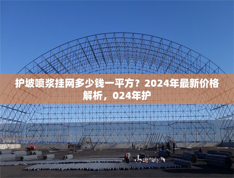 護坡噴漿掛網(wǎng)多少錢一平方？2024年最新價格解析，024年護 行業(yè)新聞