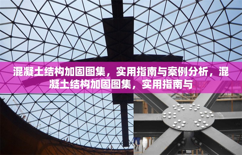 混凝土結(jié)構(gòu)加固圖集，實用指南與案例分析，混凝土結(jié)構(gòu)加固圖集，實用指南與