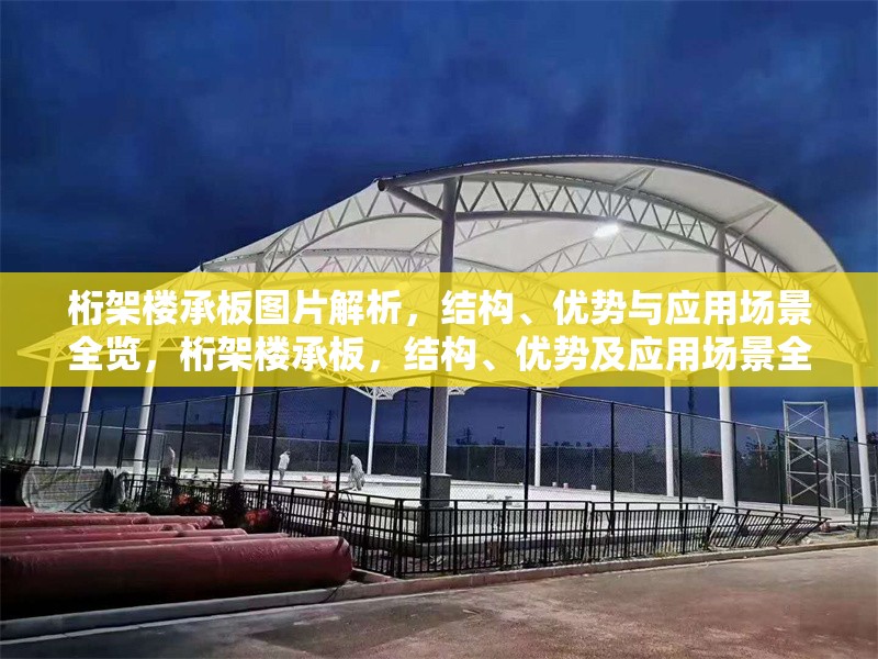 桁架樓承板圖片解析，結(jié)構(gòu)、優(yōu)勢(shì)與應(yīng)用場(chǎng)景全覽，桁架樓承板，結(jié)構(gòu)、優(yōu)勢(shì)及應(yīng)用場(chǎng)景全解析（