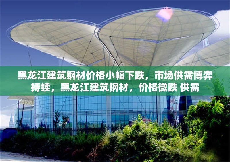 黑龍江建筑鋼材價(jià)格小幅下跌，市場供需博弈持續(xù)，黑龍江建筑鋼材，價(jià)格微跌 供需 行業(yè)新聞