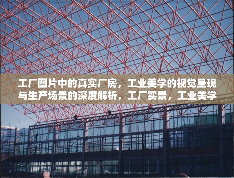 工廠圖片中的真實(shí)廠房，工業(yè)美學(xué)的視覺(jué)呈現(xiàn)與生產(chǎn)場(chǎng)景的深度解析，工廠實(shí)景，工業(yè)美學(xué)與生產(chǎn)場(chǎng)景 行業(yè)新聞