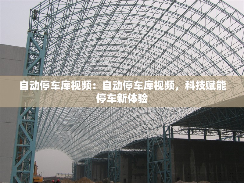 自動(dòng)停車庫(kù)視頻：自動(dòng)停車庫(kù)視頻，科技賦能停車新體驗(yàn) 行業(yè)新聞