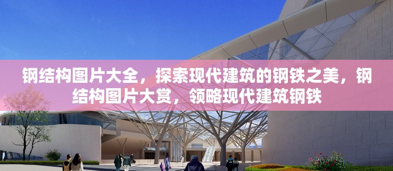 鋼結構圖片大全，探索現(xiàn)代建筑的鋼鐵之美，鋼結構圖片大賞，領略現(xiàn)代建筑鋼鐵 行業(yè)新聞