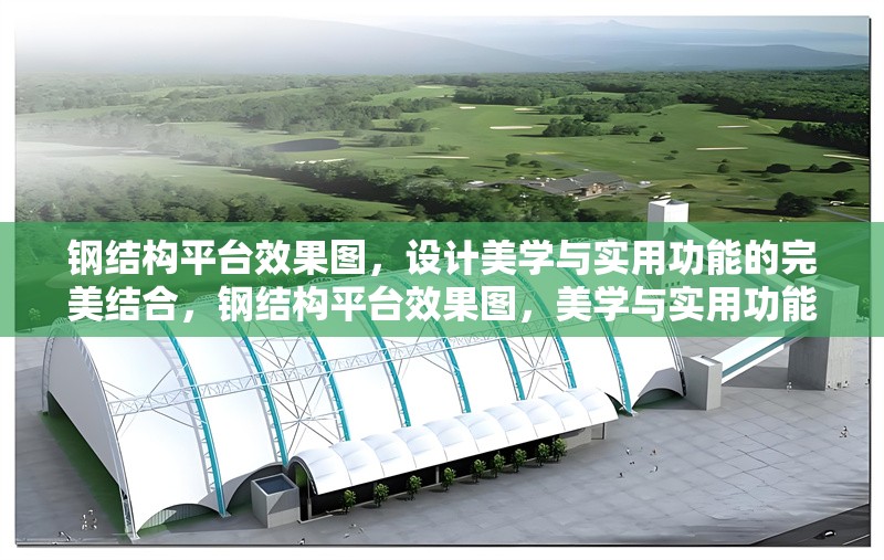 鋼結(jié)構(gòu)平臺(tái)效果圖，設(shè)計(jì)美學(xué)與實(shí)用功能的完美結(jié)合，鋼結(jié)構(gòu)平臺(tái)效果圖，美學(xué)與實(shí)用功能的絕