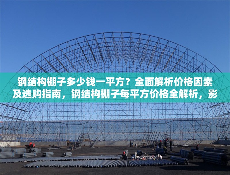 鋼結(jié)構(gòu)棚子多少錢一平方？全面解析價格因素及選購指南，鋼結(jié)構(gòu)棚子每平方價格全解析，影響因素與選購要點