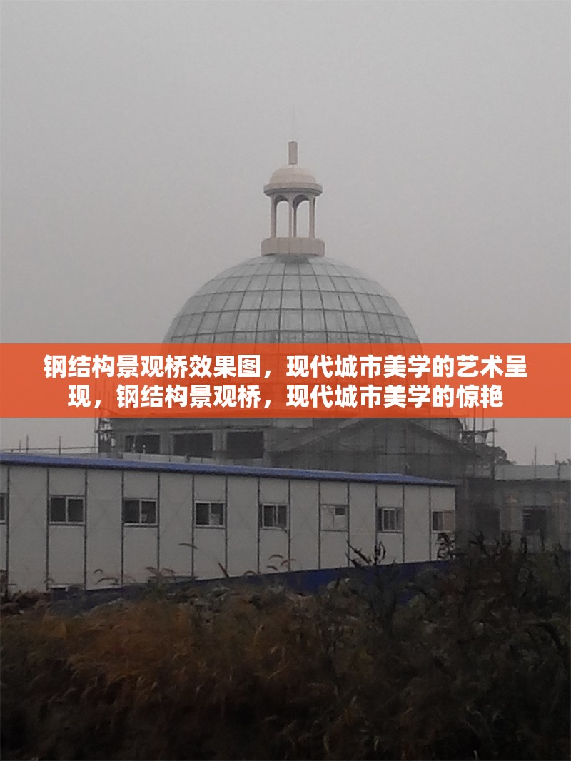 鋼結(jié)構(gòu)景觀橋效果圖，現(xiàn)代城市美學(xué)的藝術(shù)呈現(xiàn)，鋼結(jié)構(gòu)景觀橋，現(xiàn)代城市美學(xué)的驚艷