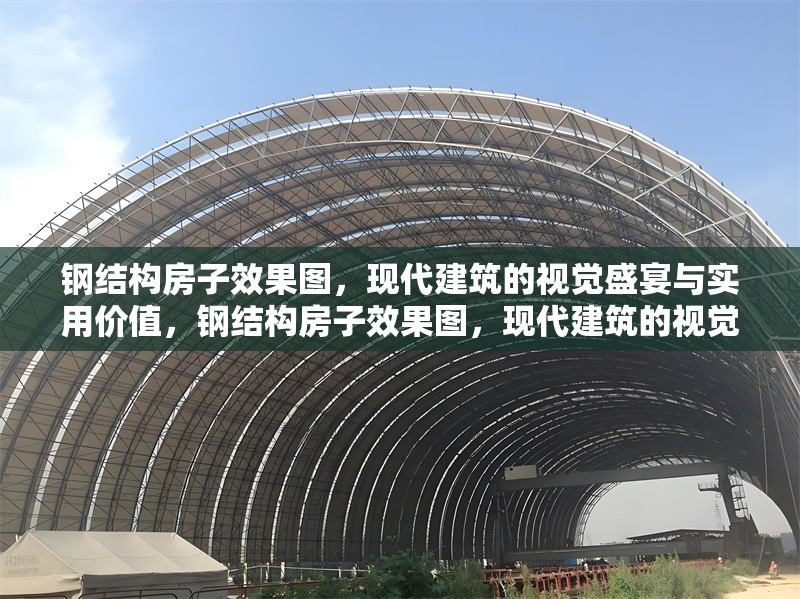 鋼結(jié)構(gòu)房子效果圖，現(xiàn)代建筑的視覺盛宴與實用價值，鋼結(jié)構(gòu)房子效果圖，現(xiàn)代建筑的視覺與