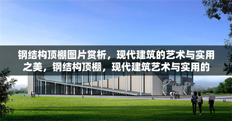 鋼結(jié)構(gòu)頂棚圖片賞析，現(xiàn)代建筑的藝術(shù)與實(shí)用之美，鋼結(jié)構(gòu)頂棚，現(xiàn)代建筑藝術(shù)與實(shí)用的