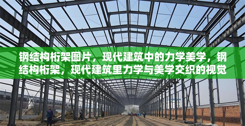 鋼結(jié)構(gòu)桁架圖片，現(xiàn)代建筑中的力學(xué)美學(xué)，鋼結(jié)構(gòu)桁架，現(xiàn)代建筑里力學(xué)與美學(xué)交織的視覺(jué)呈現(xiàn) 行業(yè)新聞