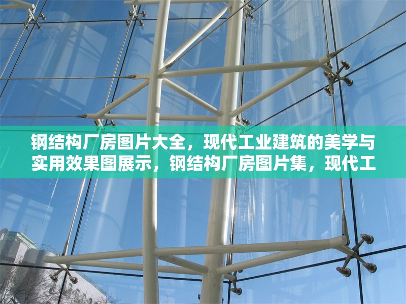 鋼結構廠房圖片大全，現代工業(yè)建筑的美學與實用效果圖展示，鋼結構廠房圖片集，現代工業(yè)建筑的美學與實用效果圖全