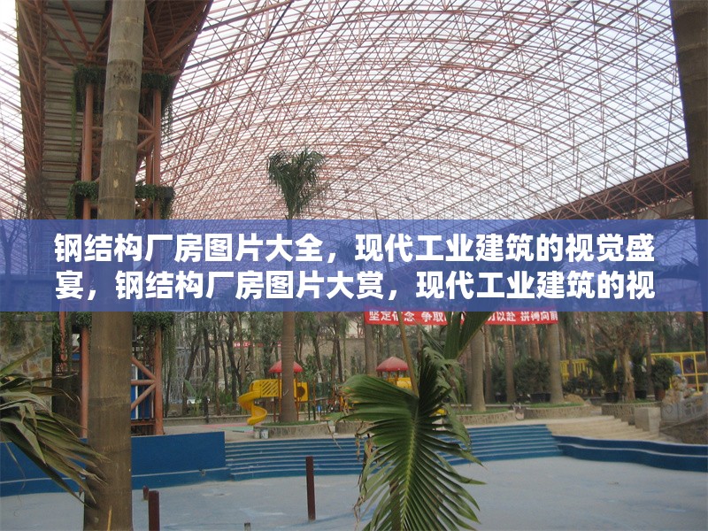 鋼結構廠房圖片大全，現代工業(yè)建筑的視覺盛宴，鋼結構廠房圖片大賞，現代工業(yè)建筑的視覺華章