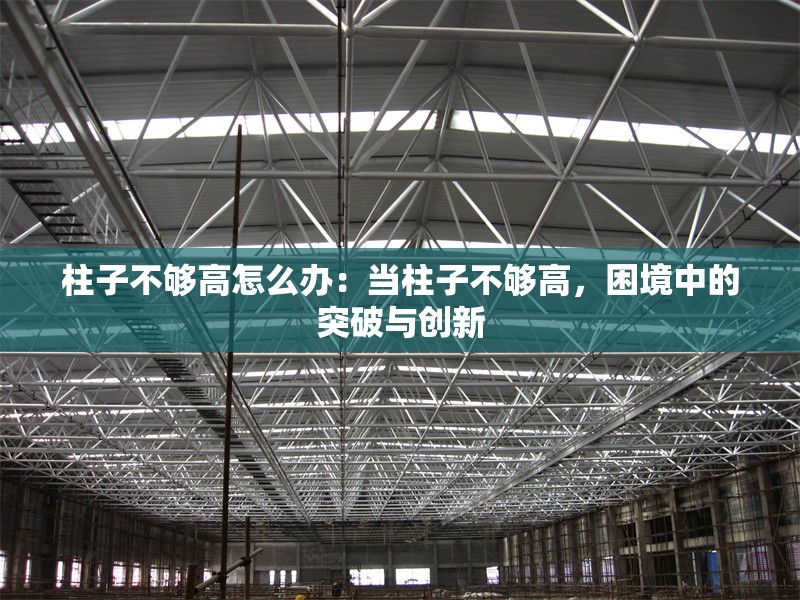 柱子不夠高怎么辦：當(dāng)柱子不夠高，困境中的突破與創(chuàng)新 行業(yè)新聞