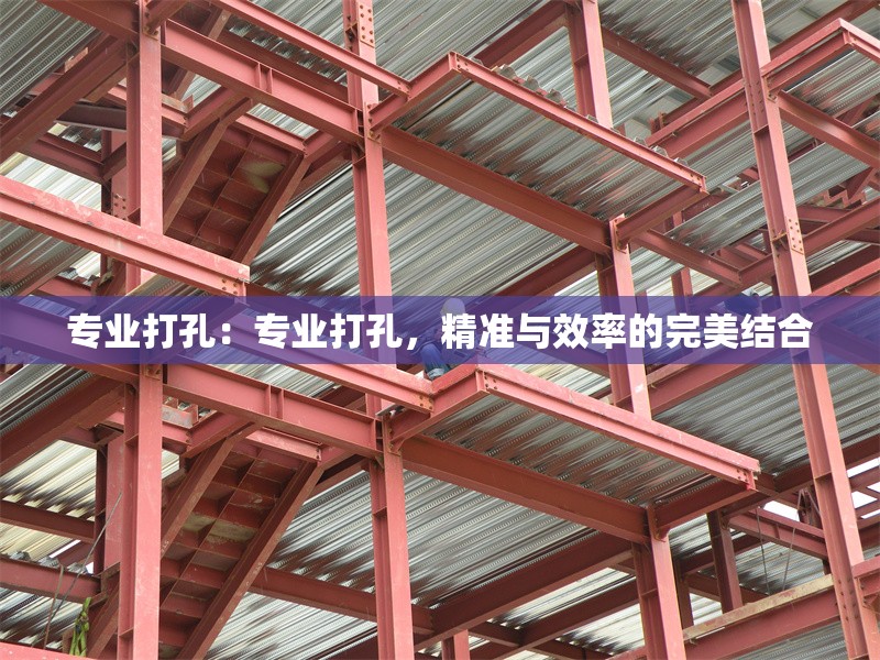 專業(yè)打孔：專業(yè)打孔，精準與效率的完美結(jié)合 行業(yè)新聞