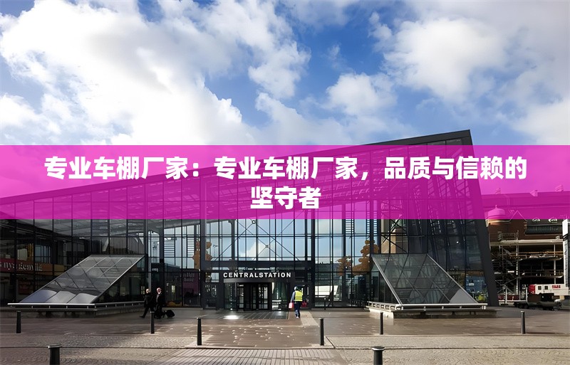 專業(yè)車棚廠家：專業(yè)車棚廠家，品質(zhì)與信賴的堅守者