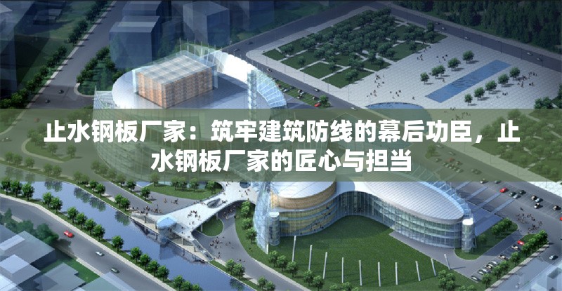 止水鋼板廠家：筑牢建筑防線的幕后功臣，止水鋼板廠家的匠心與擔(dān)當(dāng) 行業(yè)新聞