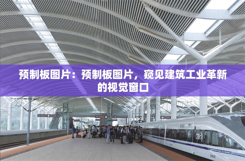 預制板圖片：預制板圖片，窺見建筑工業(yè)革新的視覺窗口 行業(yè)新聞