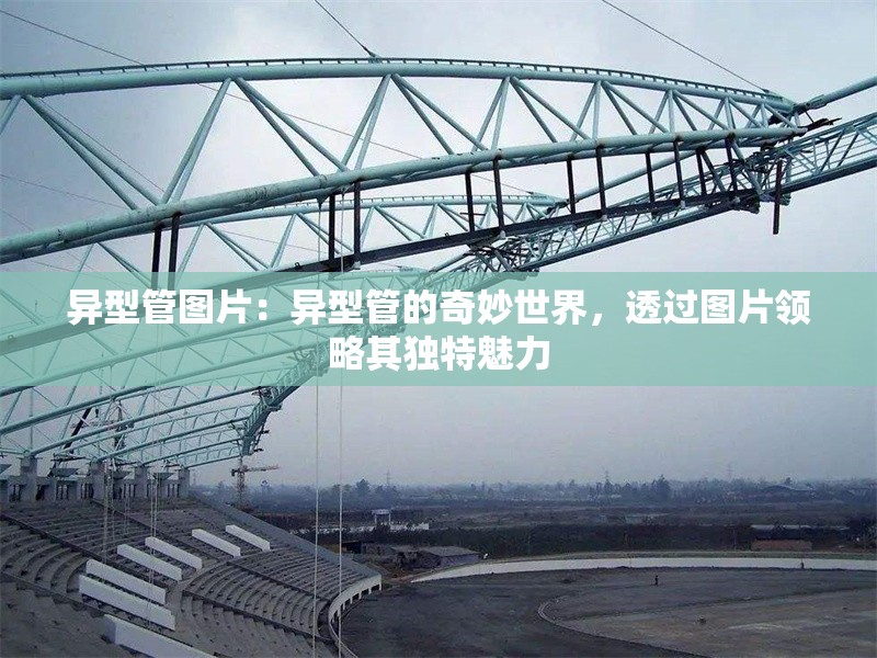 異型管圖片：異型管的奇妙世界，透過圖片領(lǐng)略其獨(dú)特魅力 行業(yè)新聞