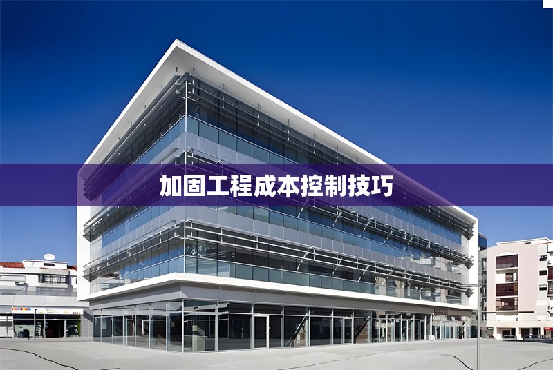 加固工程成本控制技巧 行業(yè)新聞 第1張 加固工程成本控制技巧 行業(yè)新聞 第1張