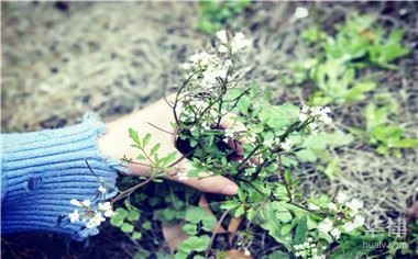 工商部門(mén)咨詢(xún)資質(zhì)等級(jí)方法，工商部門(mén)資質(zhì)等級(jí)咨詢(xún) 行業(yè)新聞 第4張