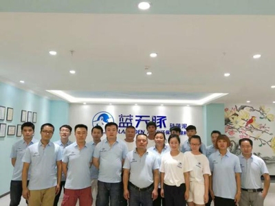 環(huán)保建材的市場應(yīng)用現(xiàn)狀，環(huán)保建材市場應(yīng)用現(xiàn)狀，機(jī)遇與挑戰(zhàn) 行業(yè)新聞 第3張