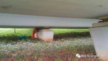 加固后結(jié)構(gòu)耐久性影響因素分析，加固后結(jié)構(gòu)耐久性影響因素的多 行業(yè)新聞 第2張