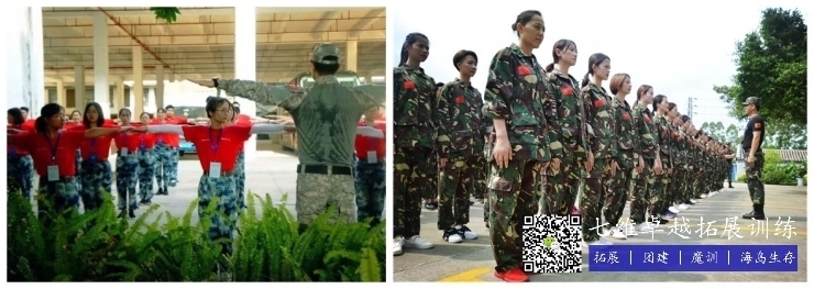 加固項目團隊建設技巧，加固項目團隊建設，實用技巧與策略 行業(yè)新聞 第1張