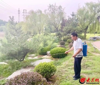 建筑加固后的病蟲害防治，建筑加固后如何有效 行業(yè)新聞 第1張