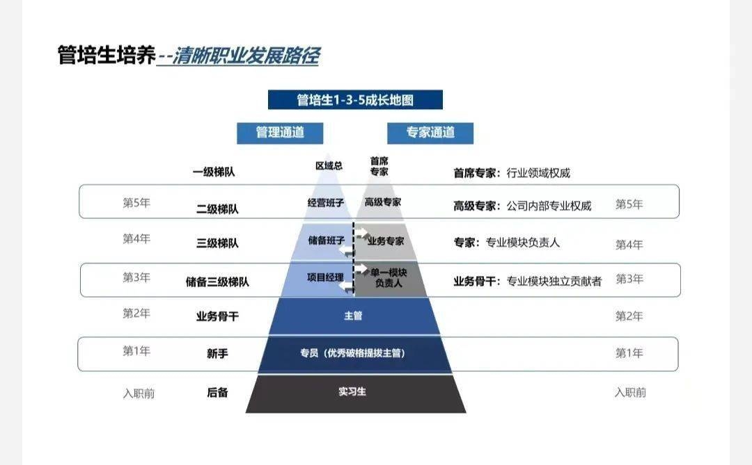 加固公司職業(yè)發(fā)展路徑，加固公司職業(yè)發(fā)展路徑 行業(yè)新聞 第1張