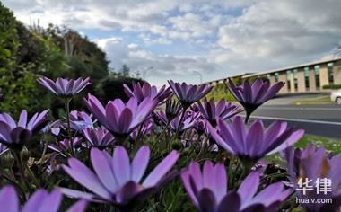 如何選擇專業(yè)的評(píng)估機(jī)構(gòu)，專業(yè)評(píng)估機(jī)構(gòu)挑選指南，關(guān)鍵要素與 行業(yè)新聞 第1張