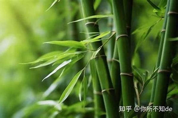 如何在廠房布局中融入環(huán)保理念，廠房布局中環(huán)保理念的融入策略與 行業(yè)新聞 第1張