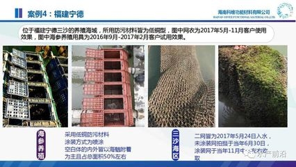 生物基復(fù)合材料加固案例，生物基復(fù)合材料加固案例，創(chuàng)新應(yīng)用與 行業(yè)新聞 第2張