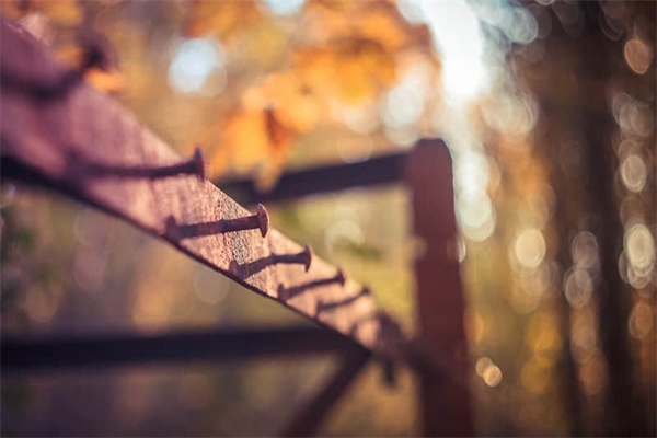 聚苯板與擠塑板性能對比，聚苯板與擠塑板性能大 行業(yè)新聞 第4張