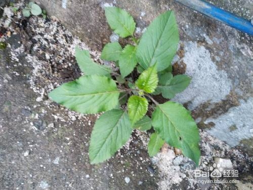 厚板焊接預熱溫度對焊縫質(zhì)量的影響，厚板焊接預熱溫度與焊縫質(zhì)量的 行業(yè)新聞 第1張