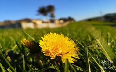 工業(yè)用地轉(zhuǎn)商業(yè)用地政策，工業(yè)用地轉(zhuǎn)商業(yè)用地政策，盤活土地資源的關(guān)鍵之舉，直接點明主題工業(yè)用地轉(zhuǎn)商業(yè)用地政策，后半句盤活土地資源的關(guān)鍵之舉強(qiáng)調(diào)了該政策在土地資源利用方面的重要意義，能夠吸引讀者關(guān)注這一政策內(nèi)容及其潛在價值， 行業(yè)新聞 第2張